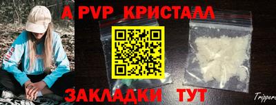 прущие грибы Тула