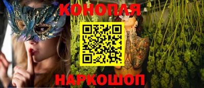 прущие грибы Тула