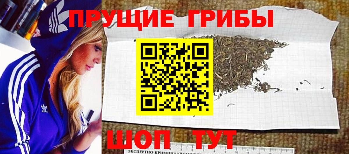 Псилоцибиновые грибы MAGIC MUSHROOMS Тимашёвск