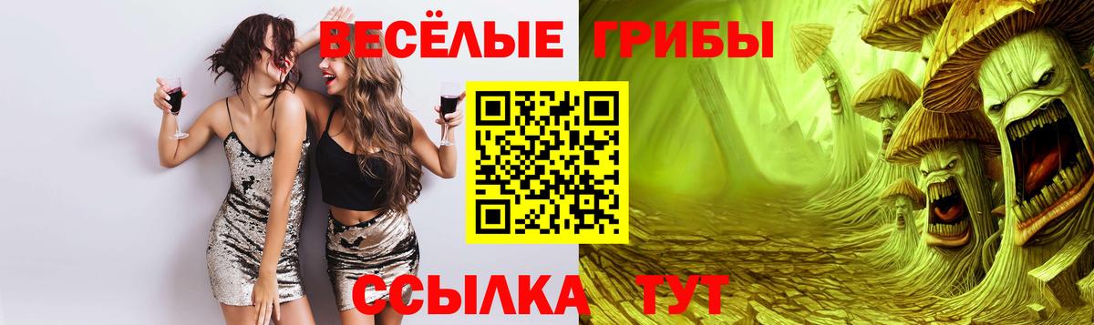 Тимашёвск  Галлюциногенные грибы MAGIC MUSHROOMS  Вход с VPN 